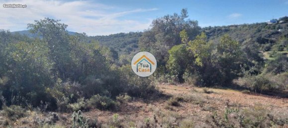 Grundstück in Sao Bras de Alportel, Portugal 56502m², Nr. 86044 13