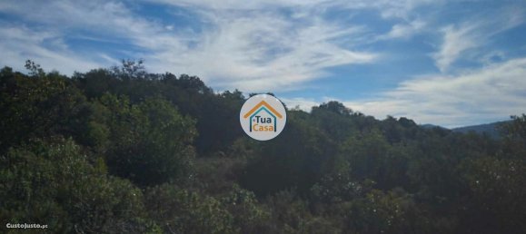 Grundstück in Sao Bras de Alportel, Portugal 56502m², Nr. 86044 26