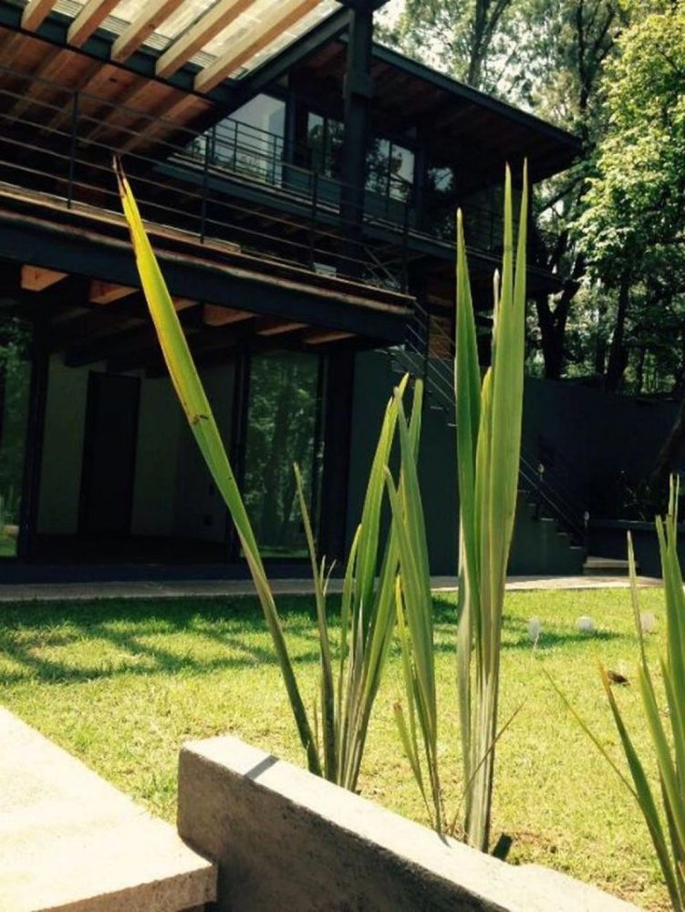 4 bedrooms House in Heroica Matamoros, Mexico No. 208012