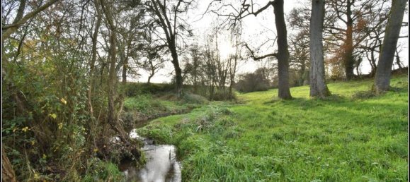 1 Schlafzimmer Haus in Chateaumeillant, France, Nr. 40871 8