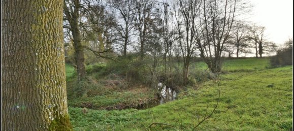 1 Schlafzimmer Haus in Chateaumeillant, France, Nr. 40871 7
