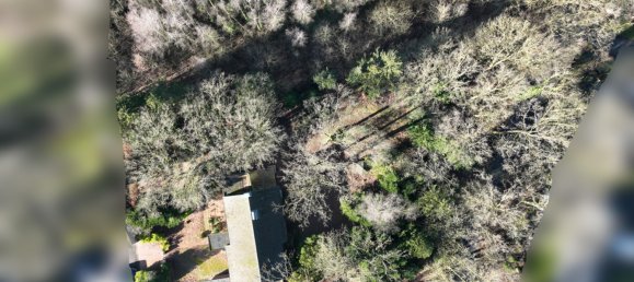 6-Zimmer Stadthaus in Warendorf, Germany, Nr. 163481 8