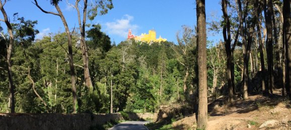 8 غرف نوم قلاع في Sintra, Portugal رقم 50324 21