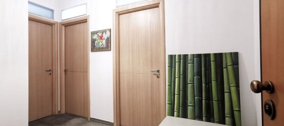 4 غرف نوم شقة في Turin, Italy رقم 333501 17