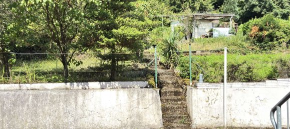 2 غرف نوم منزل في Bad Durkheim, Germany رقم 238334 8