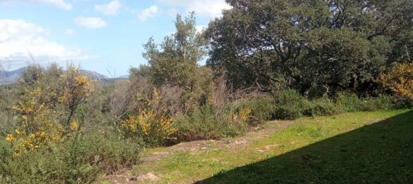 4 rooms House in Telti, Italy No. 228027 4