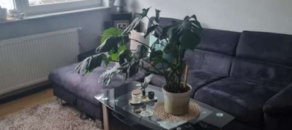 5 غرف نوم تاون هاوس في Raunheim, Germany رقم 32761 18