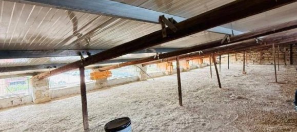 3-salle Appartement à Frattamaggiore, Italy No. 147845 9