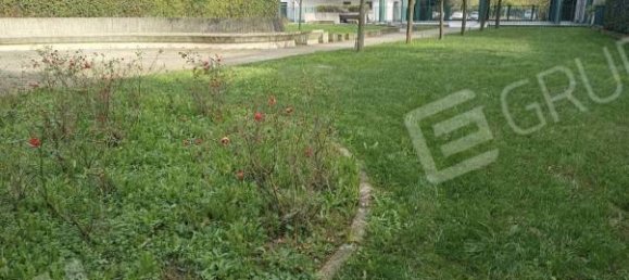 1 chambre Appartement à Legnano, Italy No. 294413 3