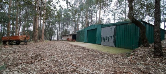 11 bedrooms House in Oliveira de Azemeis, Portugal No. 72028 18