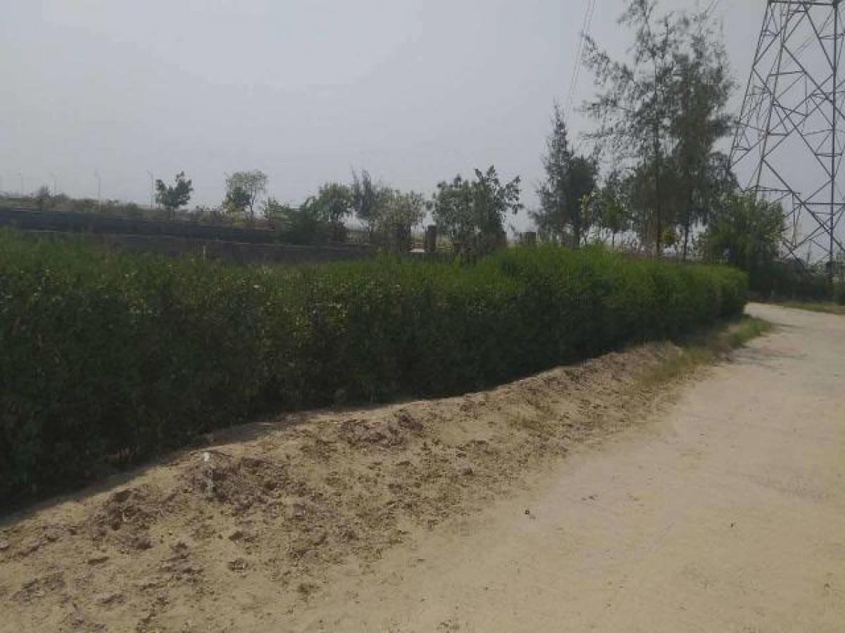  Land in Noida, India No. 66020