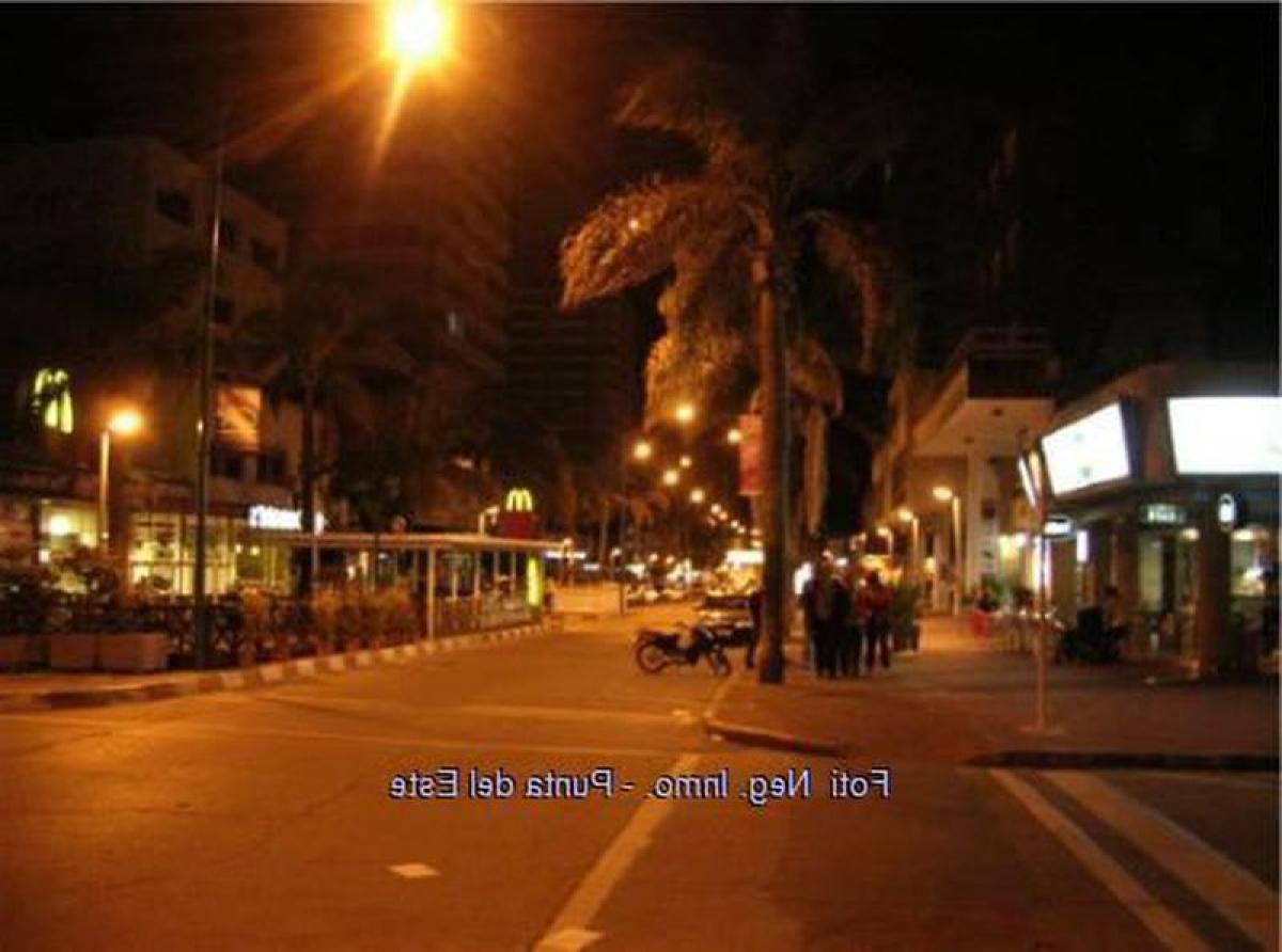 2 bedrooms Apartment in Punta del Este, Uruguay No. 3807