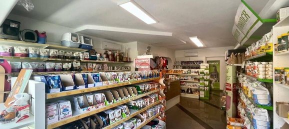 58m² Commercial property in Udine, Italy No. 257565 3