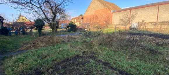 5 bedrooms House in Baldenheim, France No. 245912 10