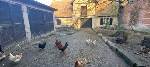 5 bedrooms House in Baldenheim, France No. 245912 3