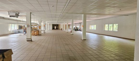 Propiedad comercial en Schmalkalden-Meiningen, Germany 20500 m² No. 296244 25