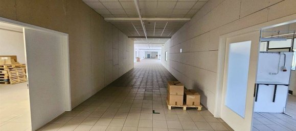 Propiedad comercial en Schmalkalden-Meiningen, Germany 20500 m² No. 296244 22