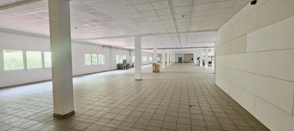 Propiedad comercial en Schmalkalden-Meiningen, Germany 20500 m² No. 296244 24