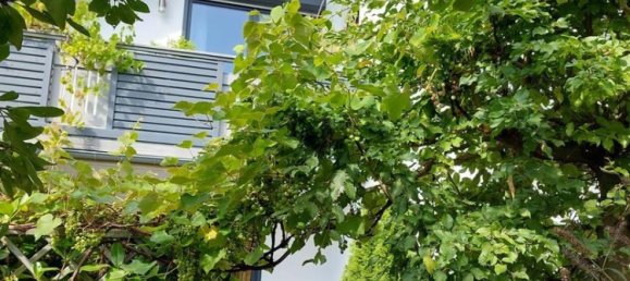 7 rooms Building in Rhein-Sieg, Germany No. 293757 5