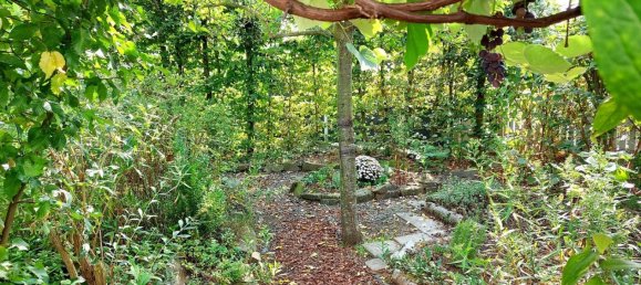 7 rooms Building in Rhein-Sieg, Germany No. 293757 21