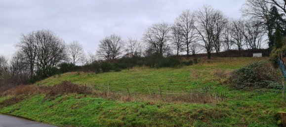  قطعة أرض في Bernkastel-Wittlich, Germany رقم 130295 2