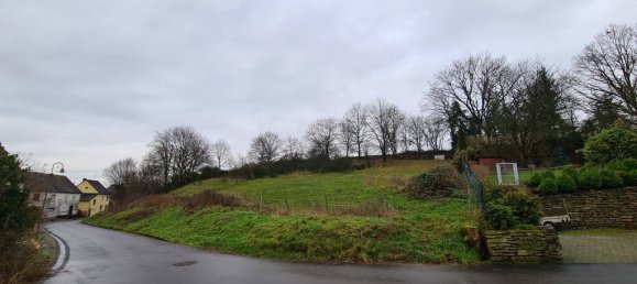  قطعة أرض في Bernkastel-Wittlich, Germany رقم 130295 7