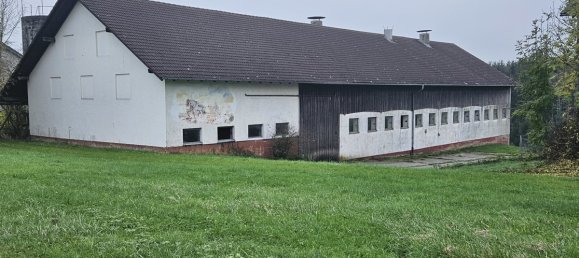 9 rooms Farm in Rottal-Inn, Germany No. 126744 4