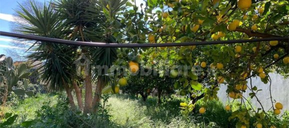 7 غرف نوم شقة في Noto, Italy رقم 115432 39