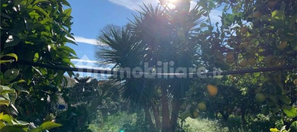 7 غرف نوم شقة في Noto, Italy رقم 115432 40