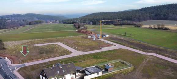  Land in Bad Durkheim, Germany No. 130894 2