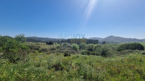 136832m² Land in Mafra, Portugal No. 81716