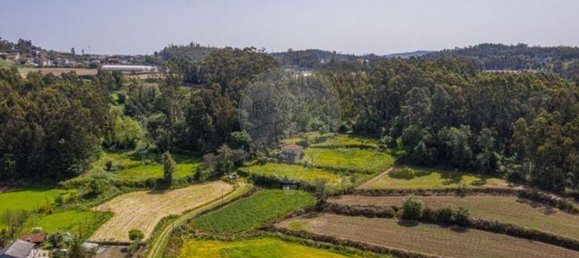 3 Schlafzimmer Haus in Moure, Portugal, Nr. 184569 2
