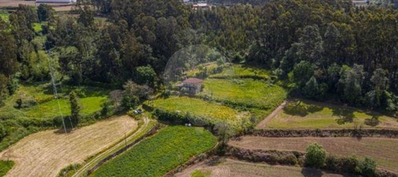 3 Schlafzimmer Haus in Moure, Portugal, Nr. 184569 3