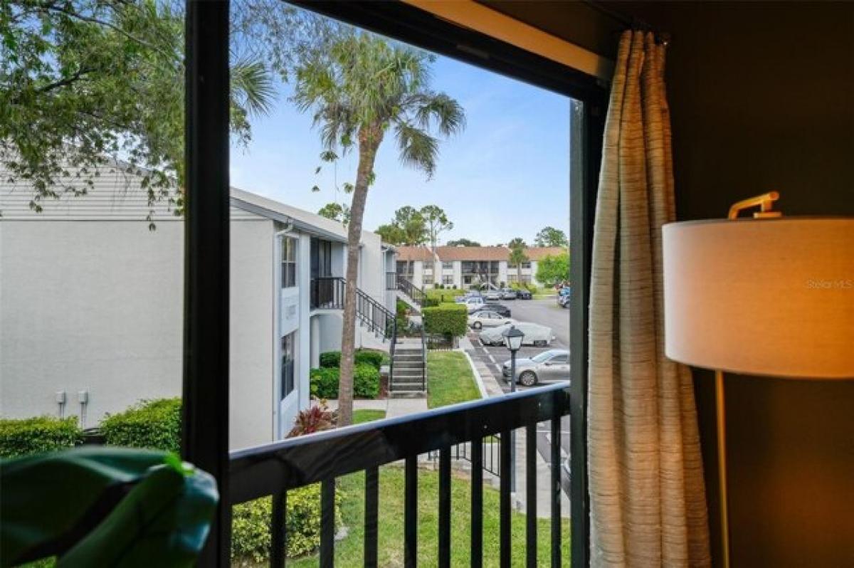 2 bedrooms House in Clearwater, USA No. 420154