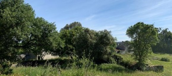 Terreno de 6 dormitorios en Ericeira, Portugal No. 148893 30