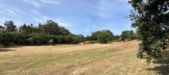 Terreno de 6 dormitorios en Ericeira, Portugal No. 148893 46