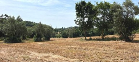Terreno de 6 dormitorios en Ericeira, Portugal No. 148893 34