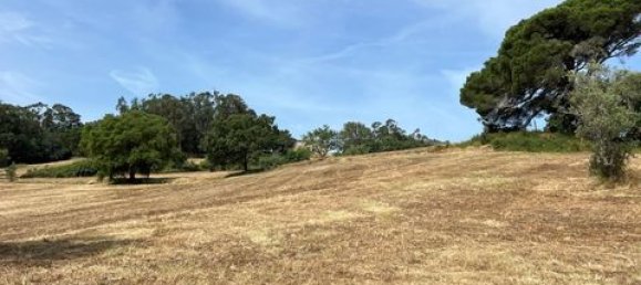 Terreno de 6 dormitorios en Ericeira, Portugal No. 148893 42