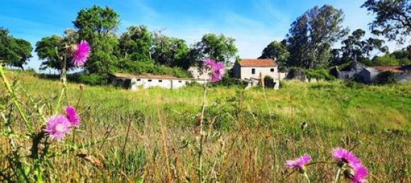 Terreno de 6 dormitorios en Ericeira, Portugal No. 148893 18