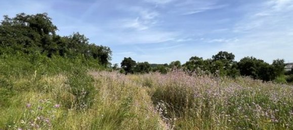 Terreno de 6 dormitorios en Ericeira, Portugal No. 148893 48