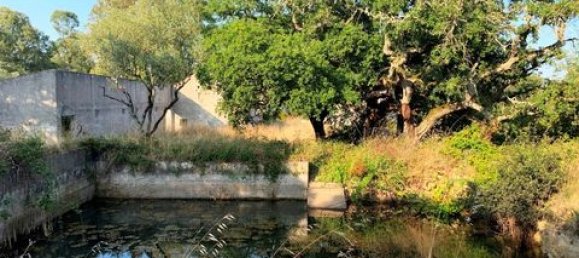 Terreno de 6 dormitorios en Ericeira, Portugal No. 148893 14