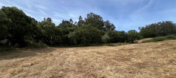 Terreno de 6 dormitorios en Ericeira, Portugal No. 148893 50