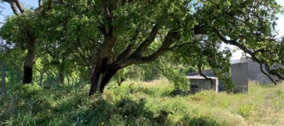 Terreno de 6 dormitorios en Ericeira, Portugal No. 148893 29