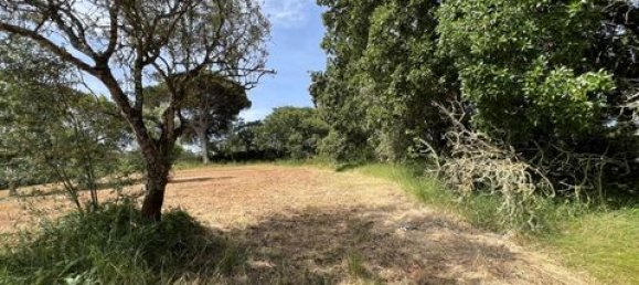 Terreno de 6 dormitorios en Ericeira, Portugal No. 148893 37