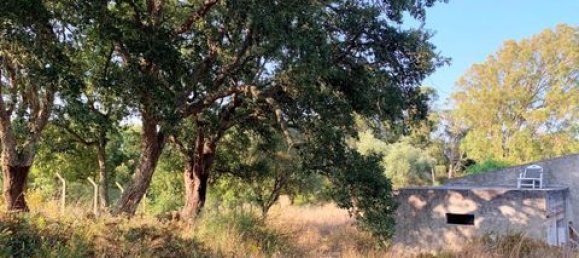 Terreno de 6 dormitorios en Ericeira, Portugal No. 148893 19