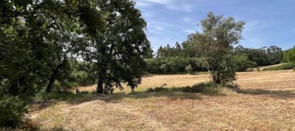 Terreno de 6 dormitorios en Ericeira, Portugal No. 148893 45