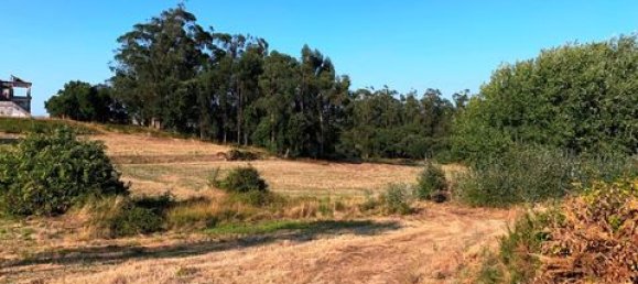 Terreno de 6 dormitorios en Ericeira, Portugal No. 148893 7