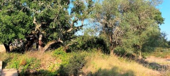 Terreno de 6 dormitorios en Ericeira, Portugal No. 148893 16