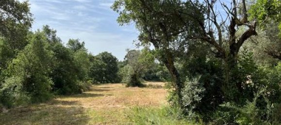 Terreno de 6 dormitorios en Ericeira, Portugal No. 148893 38