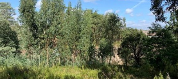 Terreno de 6 dormitorios en Ericeira, Portugal No. 148893 32